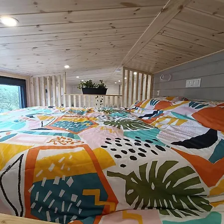 Tiny Roch' Rochefort