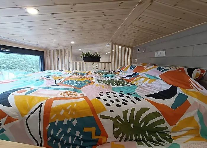 Tiny Roch' Rochefort